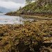 Loch Levan beach